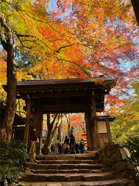 瑞宝寺公園