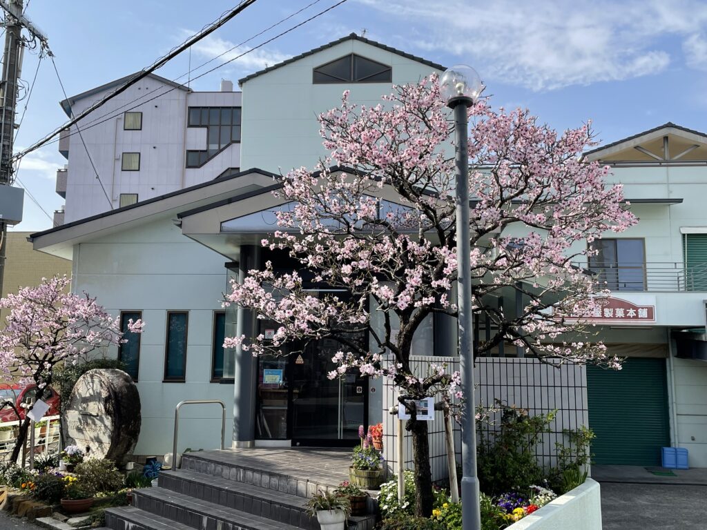 冨士屋製菓本舗工場・実店舗